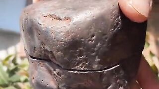 سبحان الخالق