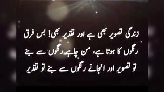 Urdu beautiful quotes