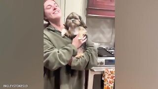 When-your-dog-acts-like-the-leader-Funniest-Dog-Ever