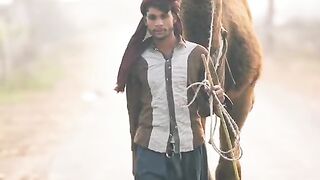 Dachi walaya
