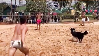 This dog is better at volleyball than I am.