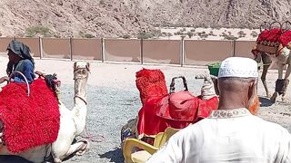 Vadya Jain in Saudi Arabia????