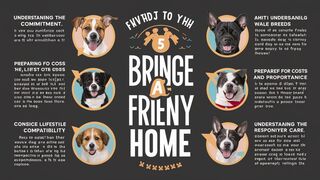 5 Things You Should Know Before Getting a Dog
