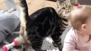 Baby and cat