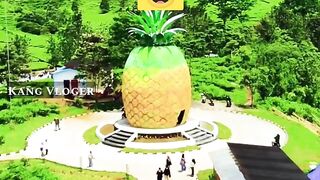 pineapple house Spongebob Squarepants ada di Indonesia #shorts