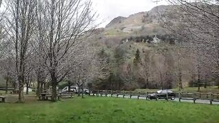 Natural    ///suscríbete