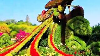 Flower peacock