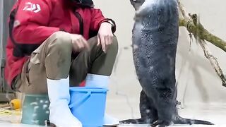 Amazing