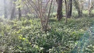 Nature, suscríbete