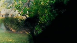 Garden of my city