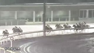 Horse race in my city