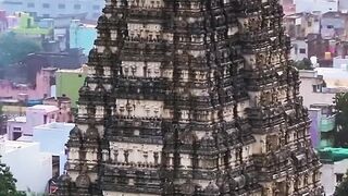 Where each storey tells