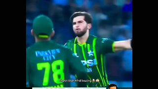 Shaheen afridi