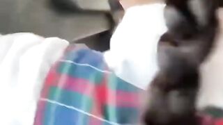 bye bye