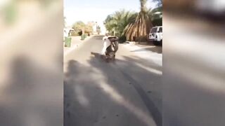 fails