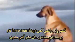 Ghar Wale Razi ho jayen Love marriage k liye