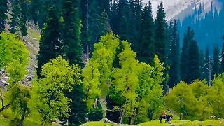 Beautiful natural beauty looks great