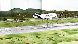 Fly by aviatoon