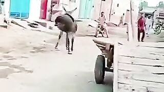 Mujy Kuch dikhai kion ni de Raha ????????????????