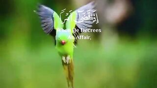Please likes shares comments and subscribe me ❤️❤️