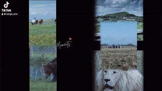 La nature et les animaux