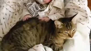 Kitten ???? Bebe ????