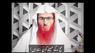 The months of Hajj are by ear