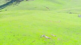 Village sumer