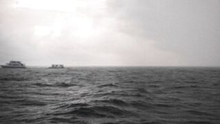 Temperatures in the Pacific Ocean vary greatly