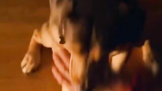 उस लड़के का हाथ कट गया - movie explained in hindi