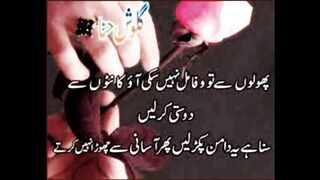 You could not find loyalty with flowers, make friends with thorns