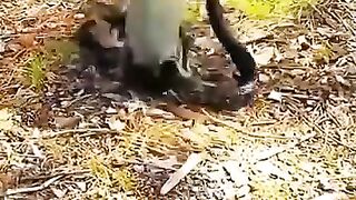 Finally, the mother risked her life to save her child