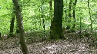 "Nature's Sanctuary: A Journey of Tranquility"