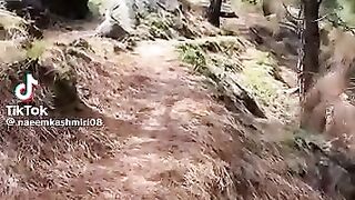 Old song very beautiful sound