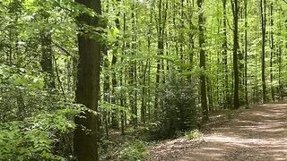 "Nature's Harmony: An Immersive Escape"