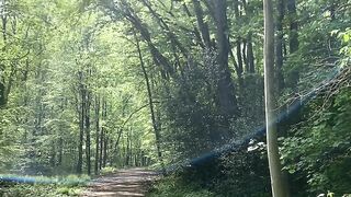 "Tranquil Trails: Immersive Nature Escapes"