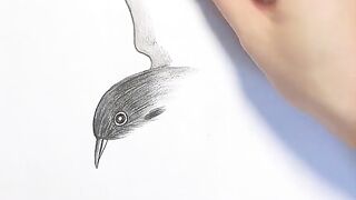 Super interesting art drawing of sparrow