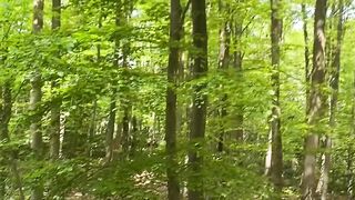"Nature's Serenity: An Immersive Experience"