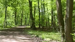 "Nature's Tranquil Haven: An Immersive Escape"