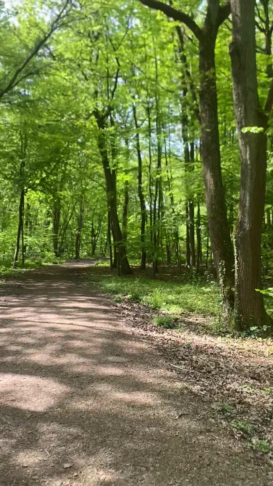 "Nature's Tranquil Haven: An Immersive Escape" - Febspot