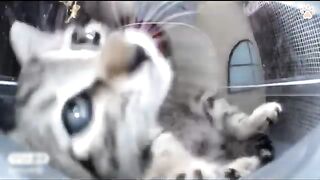 The little detective ???????? is investigating this feeder machine. ????