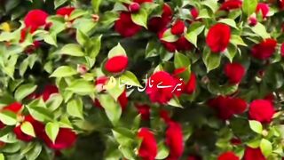 Romantic song