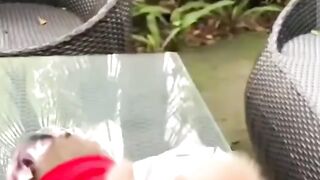 كوميديا القرود