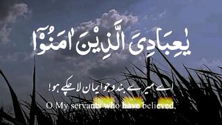 vedio Quran tilawat