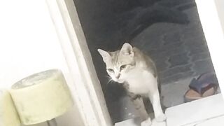 Cate Lovers