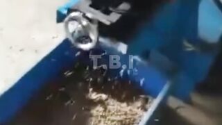 Mesin cetak pelet apung