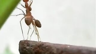 ماذا تفسر هذه العلاقة