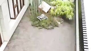 Nice Video