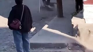 Young man saves a husky from a pitbull attack