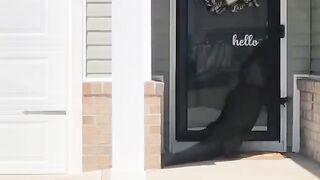 Not very usual visitor